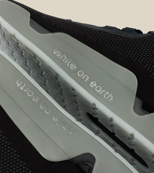 While On Earth Move Trainer | Black Moon