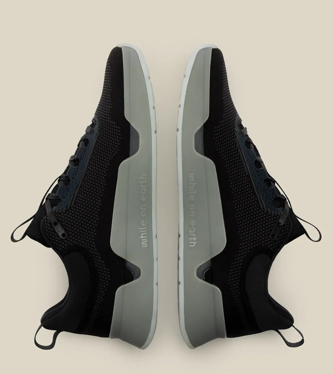 While On Earth Move Trainer | Black Moon