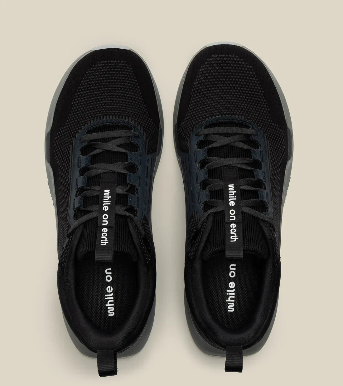 While On Earth Move Trainer | Black Moon