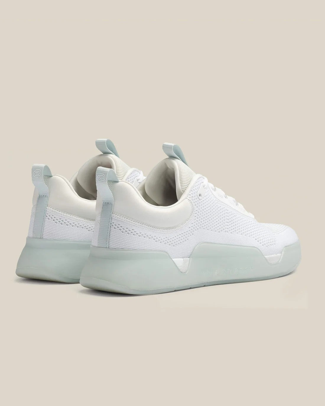 While On Earth Move Trainer | White Mist