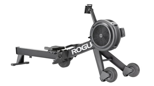 ROGUE ECHO ROWER | PREVENTA
