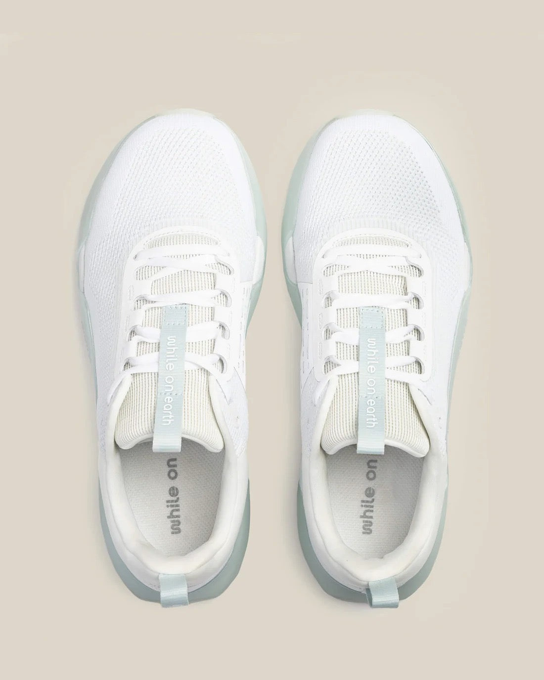 While On Earth Move Trainer | White Mist