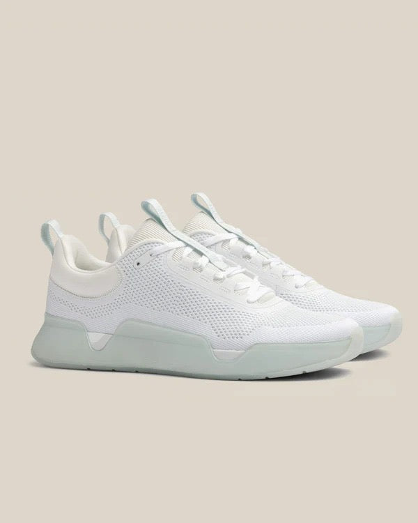 While On Earth Move Trainer | White Mist